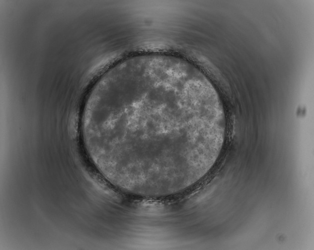 X0000101110640200807241136