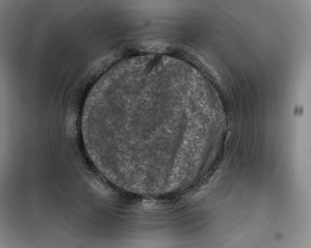 X0000101110641200807241136