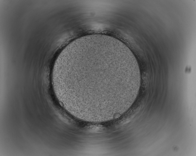 X0000101110642200807241136