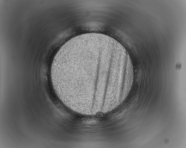 X0000101110643200807241136