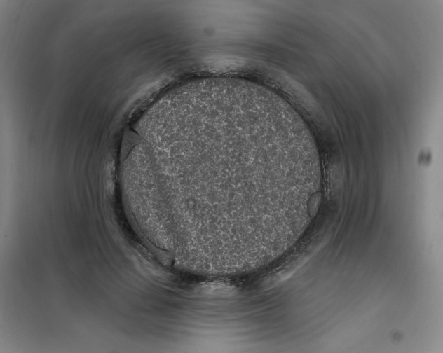 X0000101110644200807241136