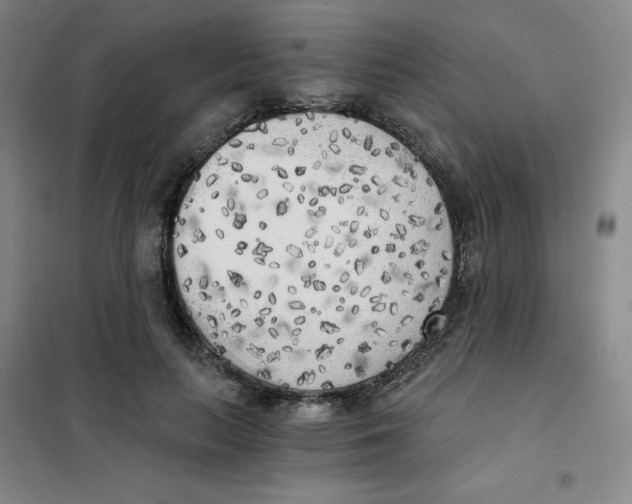 X0000101110647200807241136