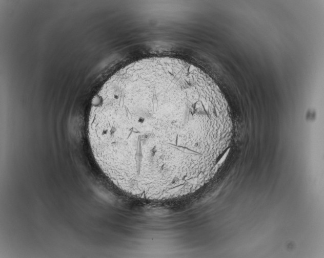 X0000101110648200807241136