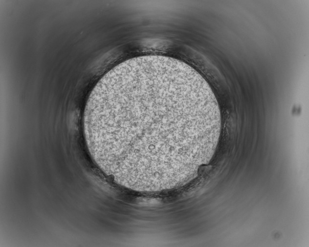 X0000101110649200807241136