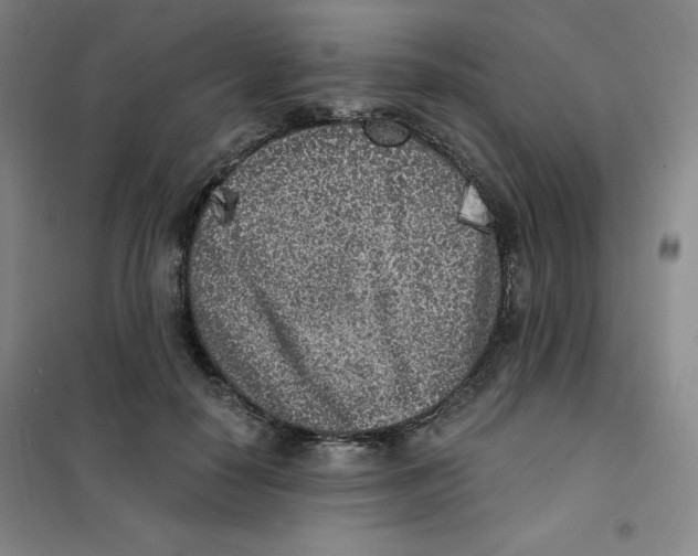 X0000101110650200807241136