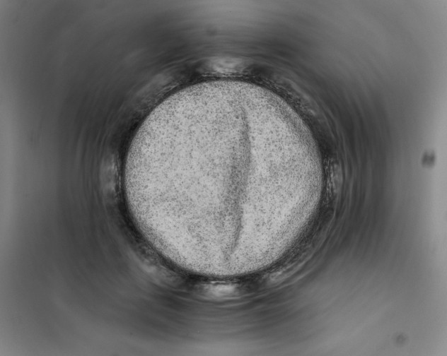 X0000101110651200807241136