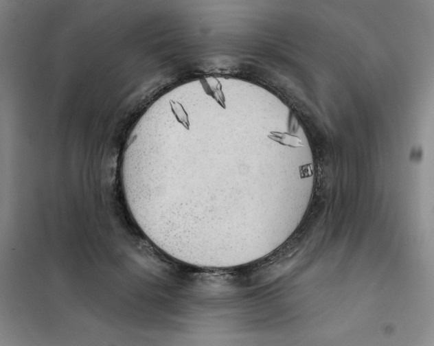 X0000101110652200807241136