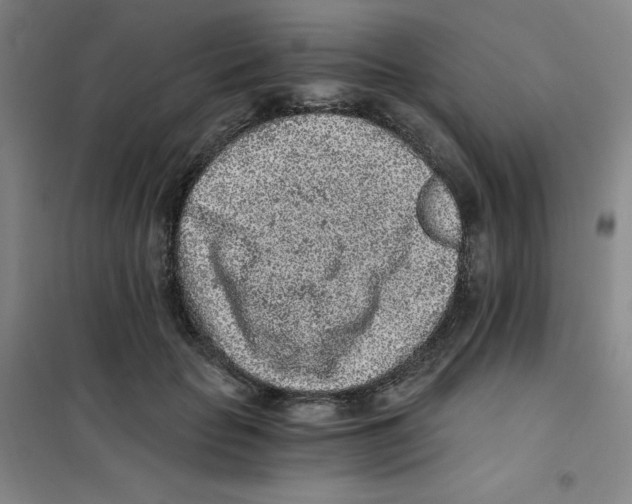 X0000101110653200807241136