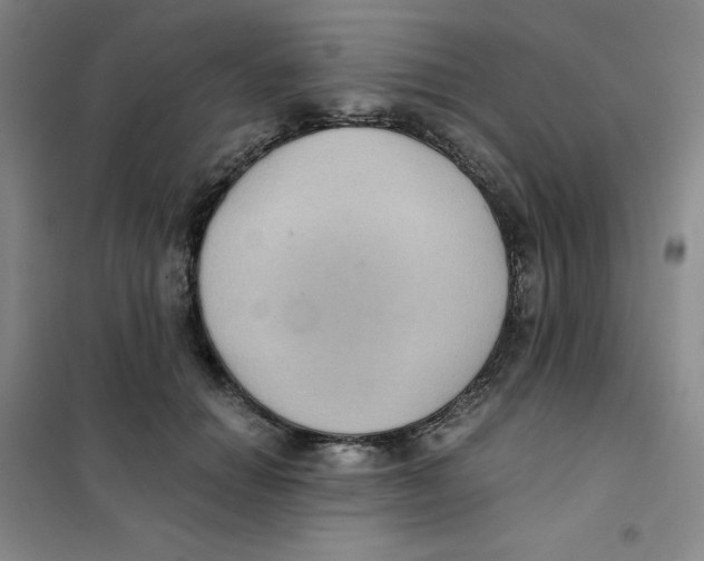 X0000101110654200807241136