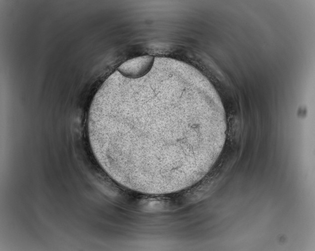 X0000101110655200807241136