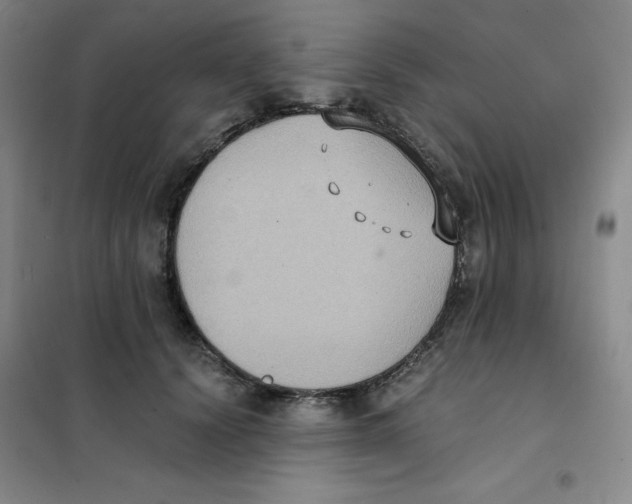 X0000101110656200807241136