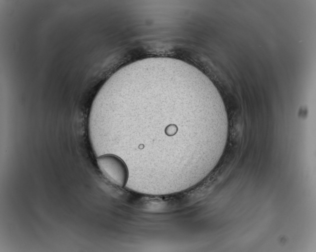X0000101110658200807241136