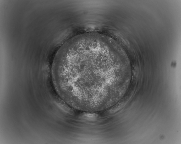 X0000101110659200807241137
