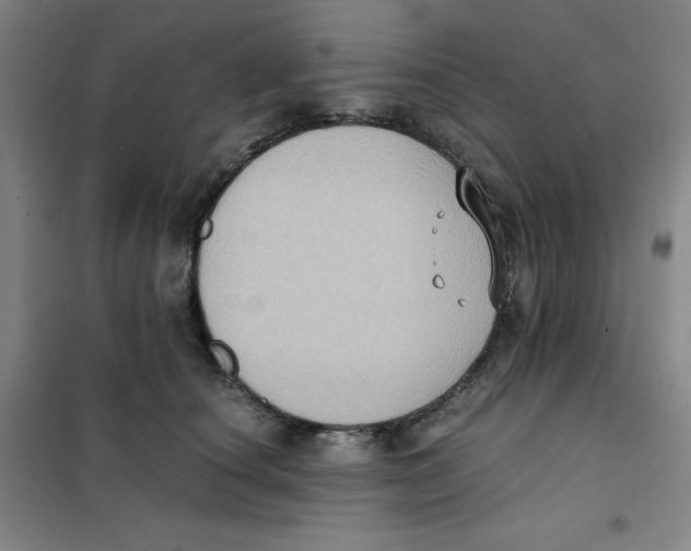 X0000101110660200807241137