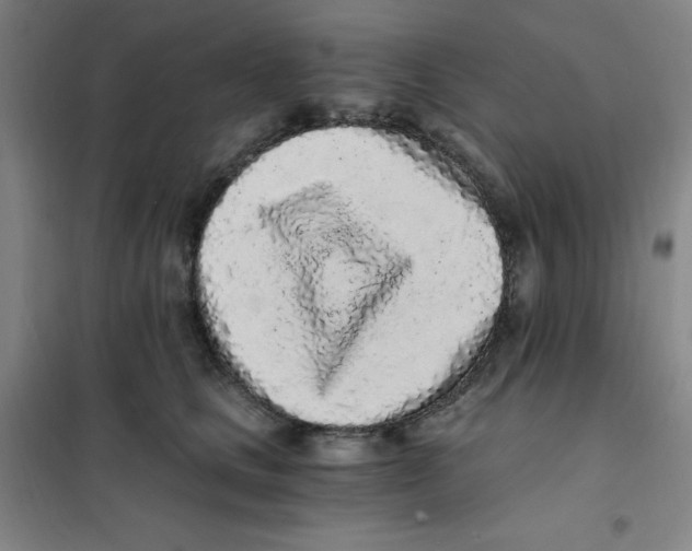 X0000101110661200807241137