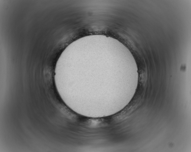 X0000101110662200807241137