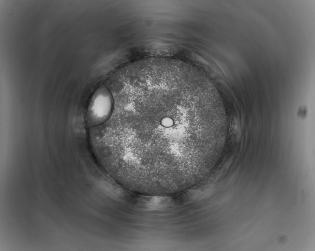 X0000101110663200807241137