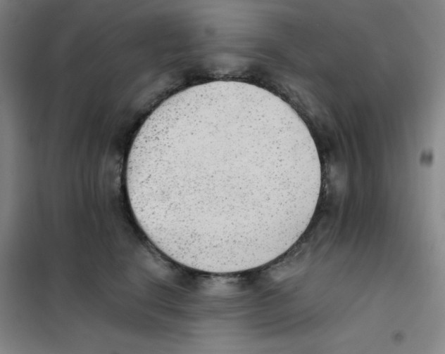 X0000101110664200807241137