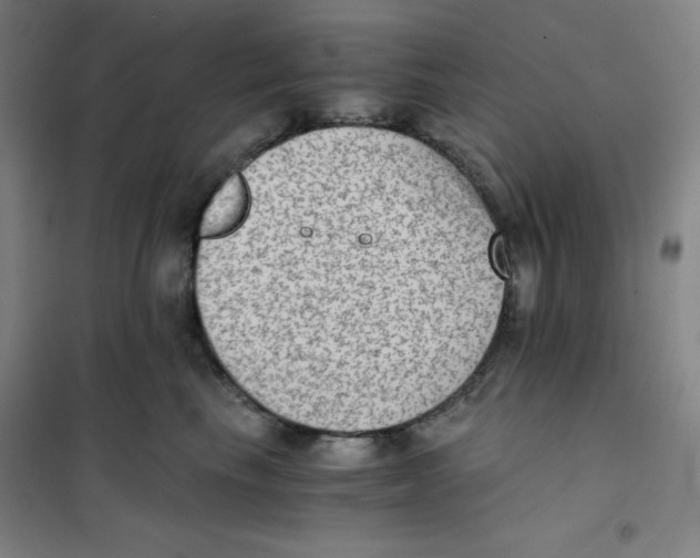 X0000101110665200807241137