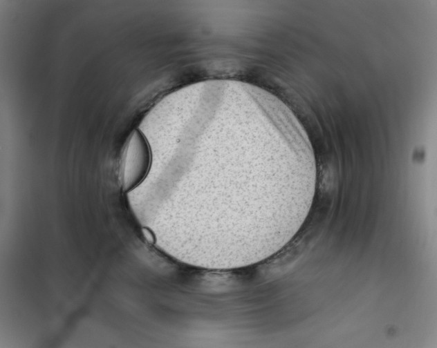 X0000101110666200807241137