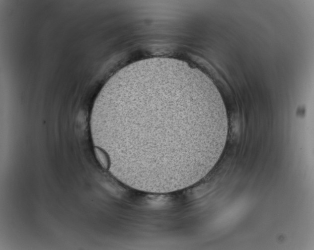 X0000101110667200807241137
