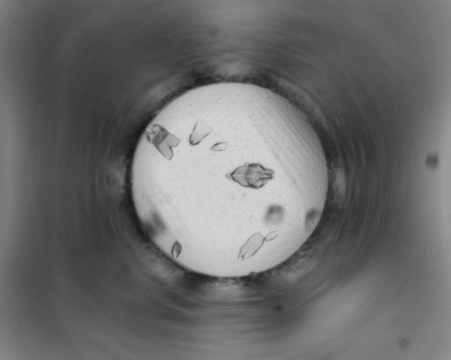 X0000101110668200807241137