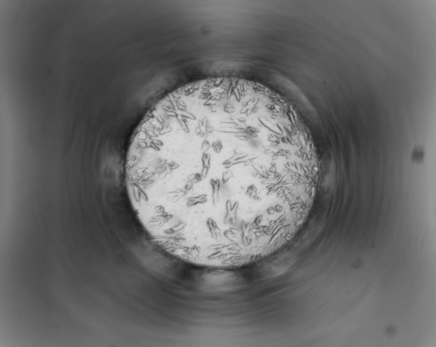 X0000101110669200807241137