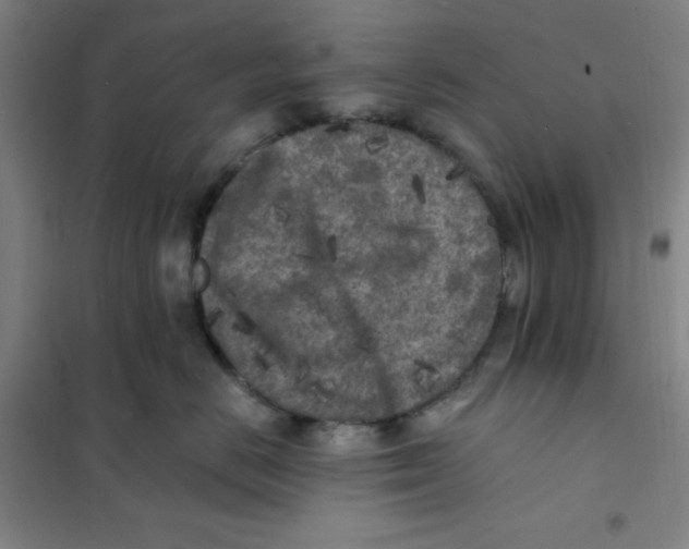X0000101110670200807241137