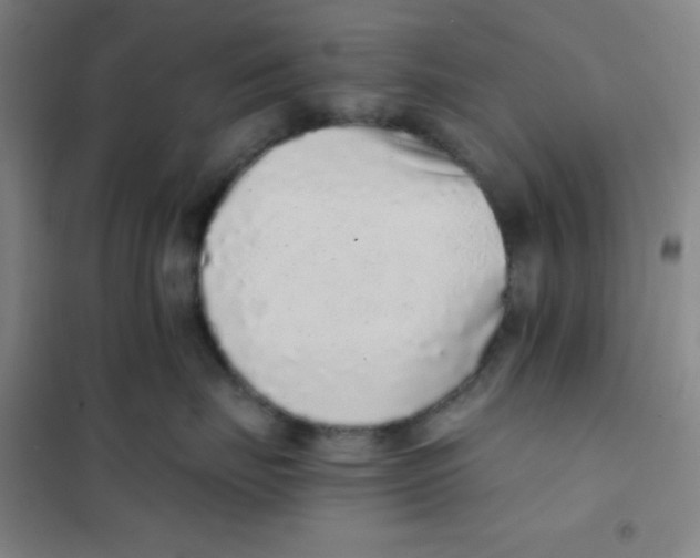 X0000101110671200807241137