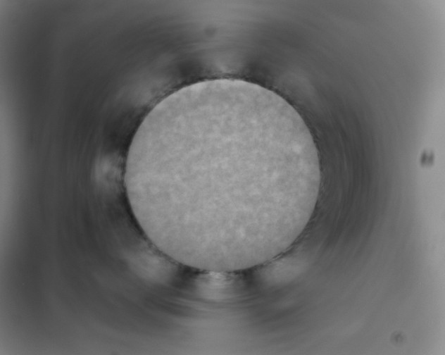 X0000101110672200807241137