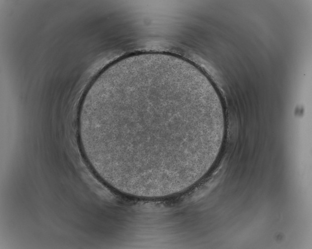 X0000101110673200807241136