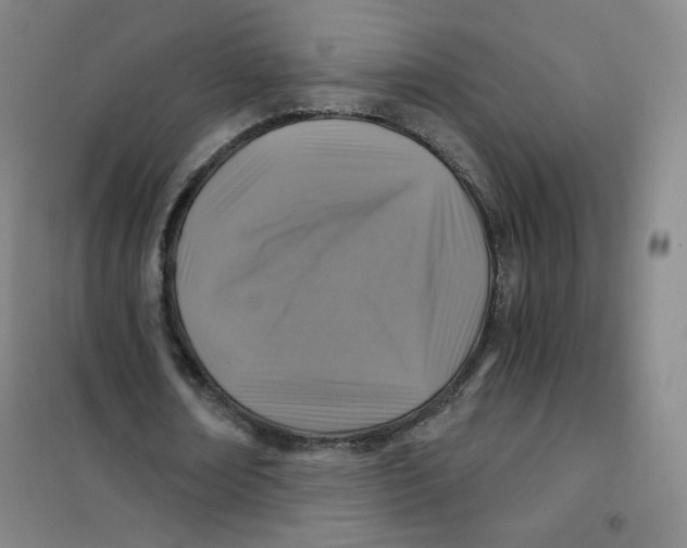 X0000101110674200807241136