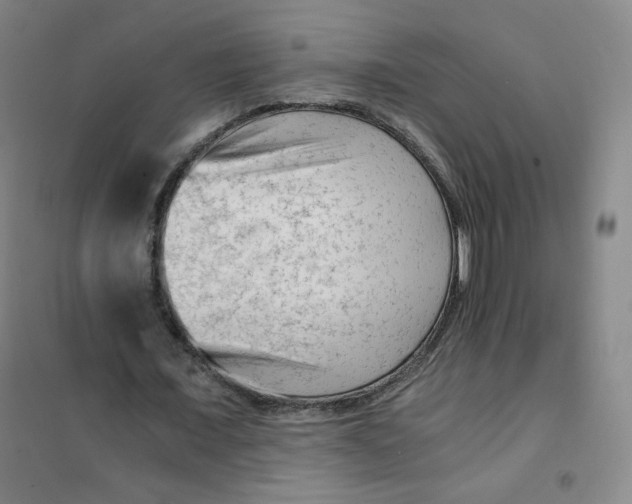 X0000101110675200807241136