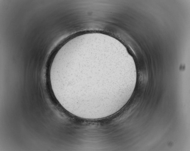 X0000101110676200807241136