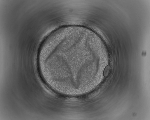 X0000101110677200807241136
