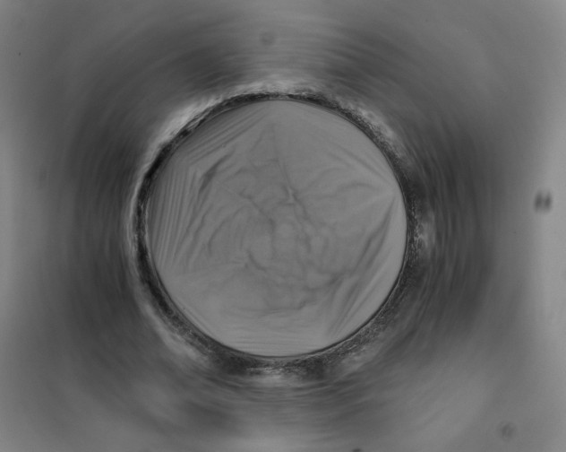 X0000101110678200807241136