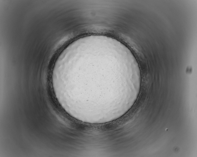 X0000101110679200807241136