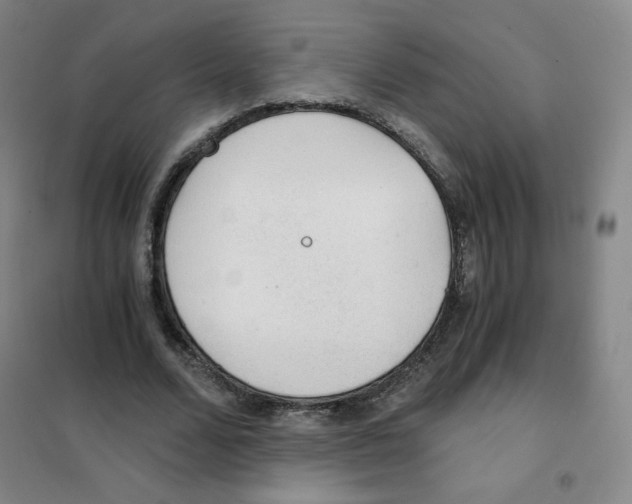 X0000101110680200807241136