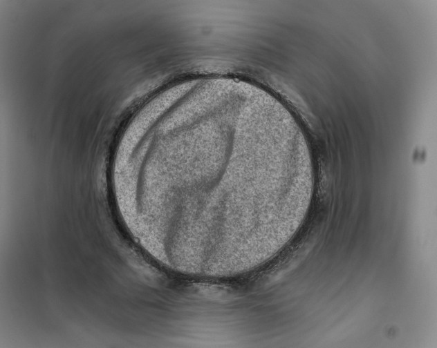 X0000101110681200807241136