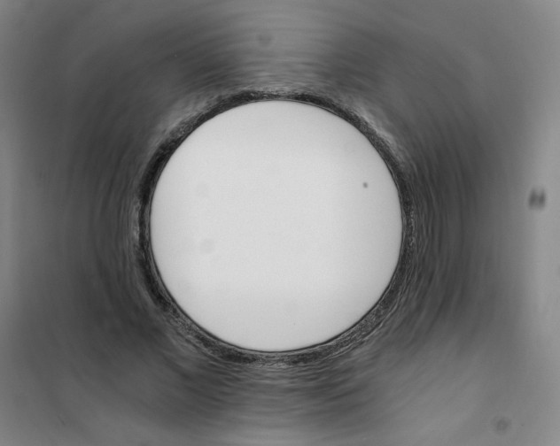 X0000101110685200807241136
