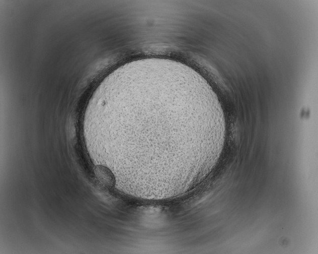 X0000101110687200807241136
