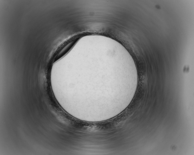 X0000101110688200807241136