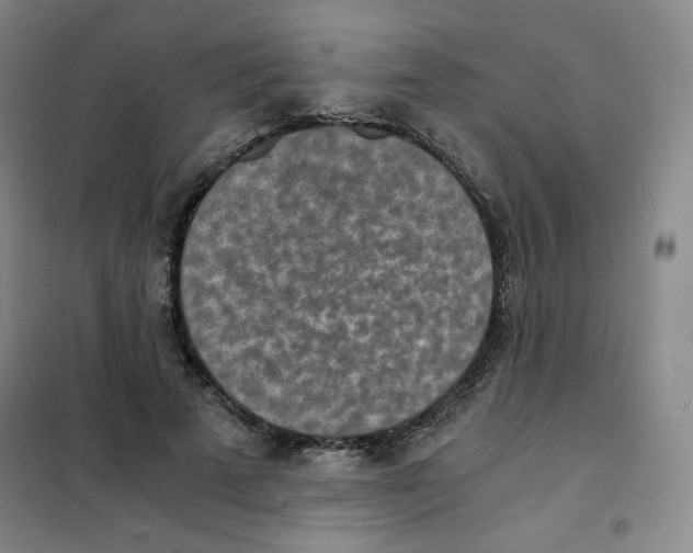 X0000101110689200807241136