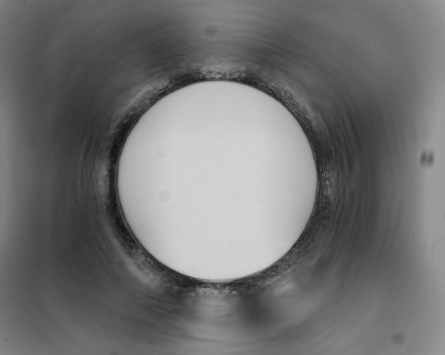 X0000101110690200807241136