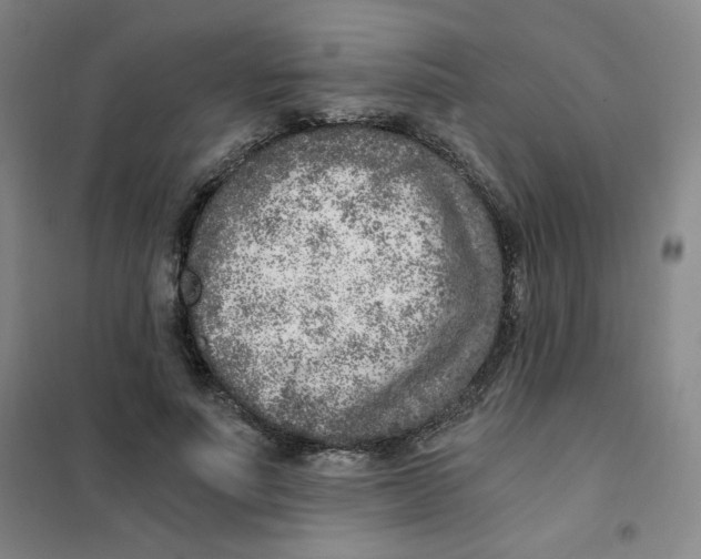 X0000101110691200807241136