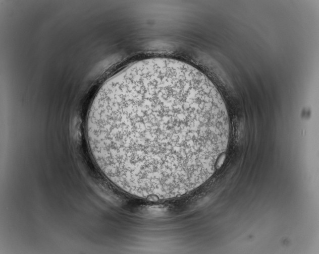 X0000101110692200807241136