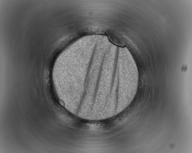 X0000101110693200807241136
