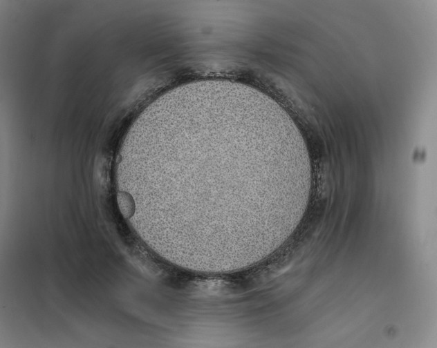 X0000101110695200807241136