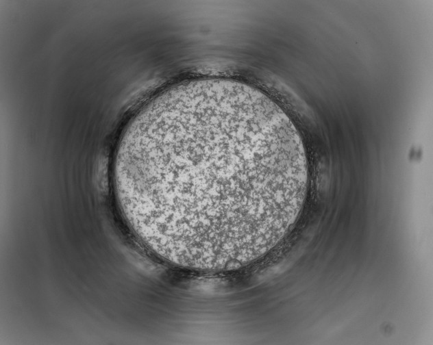X0000101110696200807241136