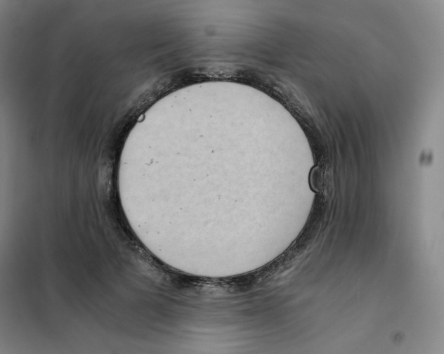 X0000101110697200807241136